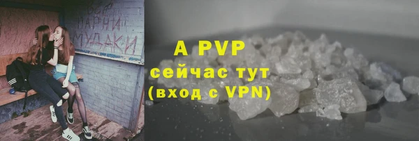 apvp Белокуриха